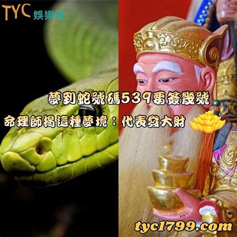 見蛇發財|夢見蛇做這1事代表發大財！命理師揭10種夢境：賺大。